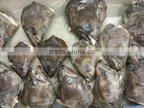 Frozen Greenland Halibut Head for Sale