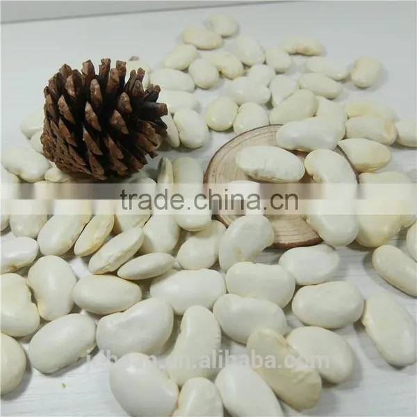 White Kidney Bean photo-3