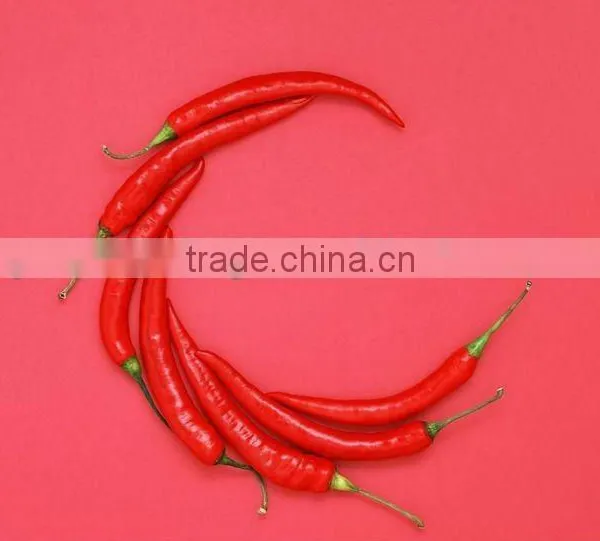 Dried Red Chill(various Size is up to You)