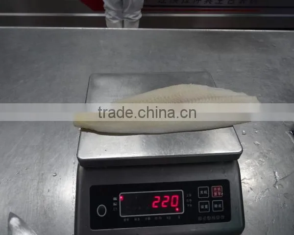 Wholesale Frozen Greenland Halibut Fish Fillet photo-3