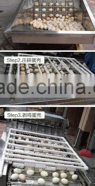 FT-200 Hot Sale Boiled Egg Shelling Breaking Peeling Machine photo-5