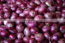 All Size Fresh Onion