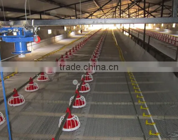Poultry Automatic Feeding System photo-5