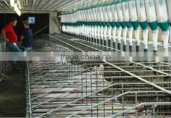 Abroad Pig Equipment for Pig Farming