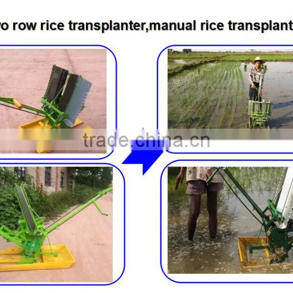 Hot Sale Philippine Rice Transplanter for Sale With Best Price photo-5