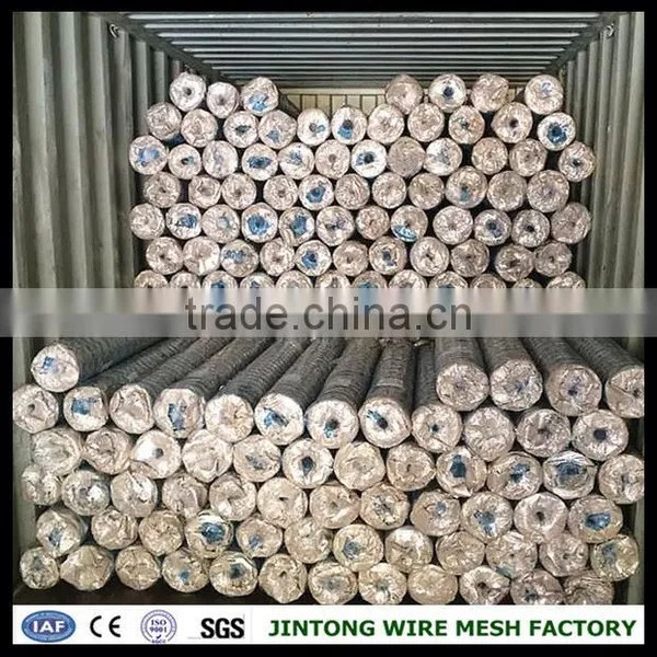 Chicken Wire Netting 6ft Chicken Wire Wire Mesh Cage Chicken Layer for Kenya Farms photo-5