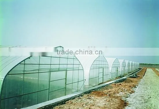 Small-scale Agricultural Greenhouse