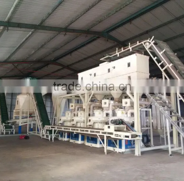 Widely Used Biomass Wood Pellet Machine With Good Feedback in Malaysia photo-4