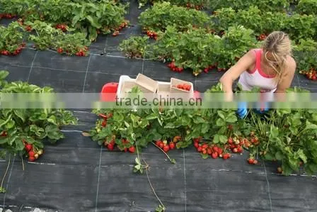 Heavy Duty Garden Waterproof Landscape Fabric Wholesale photo-3