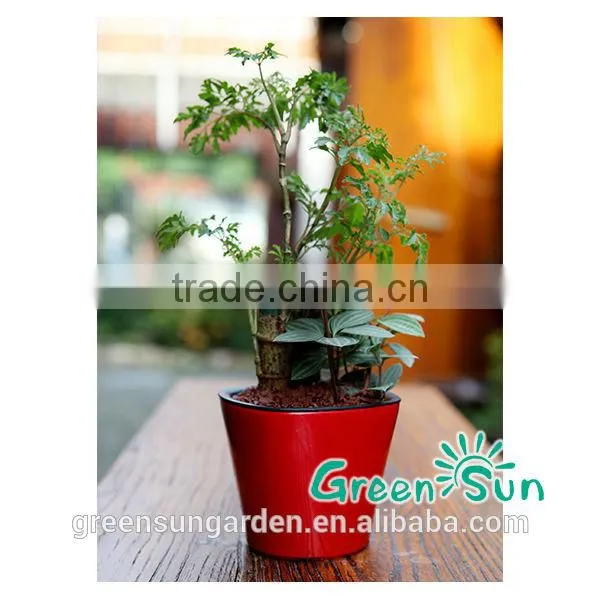 Palstic Garden Flower Pot photo-3