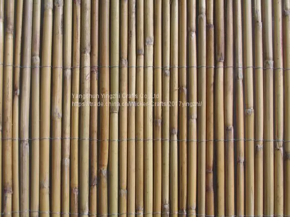 White Fern Screen Fence photo-2