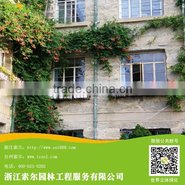 Rectangular Box White Flower Planter for Balcony Vertical Garden