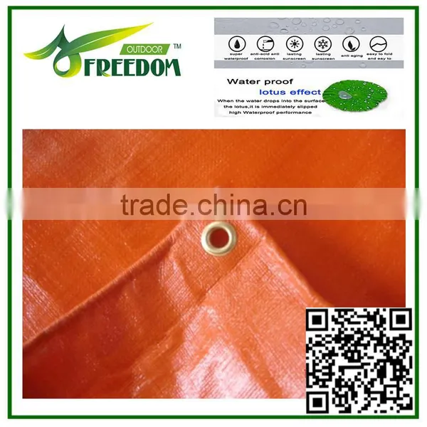 Canvas Sheet Pe Tarpaulin Plastic Sheets In Roll photo-2