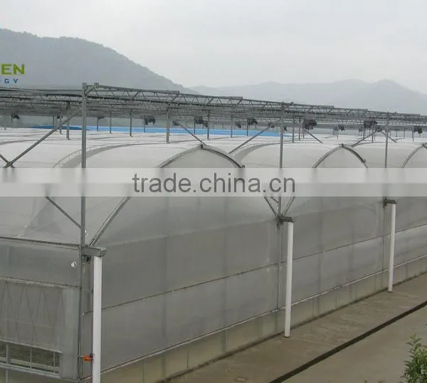 2017 Good Quality Hydroponic Tomato Greenhouse photo-2