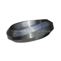 Forged Carbon Steel A105 SCH160 Weldolet