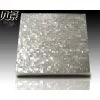 Whitelip Mother of Pearl photo-3