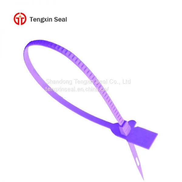 TX-PS211 Off the Shelf Tamper Proof Plastic Seal Tag for Container photo-4