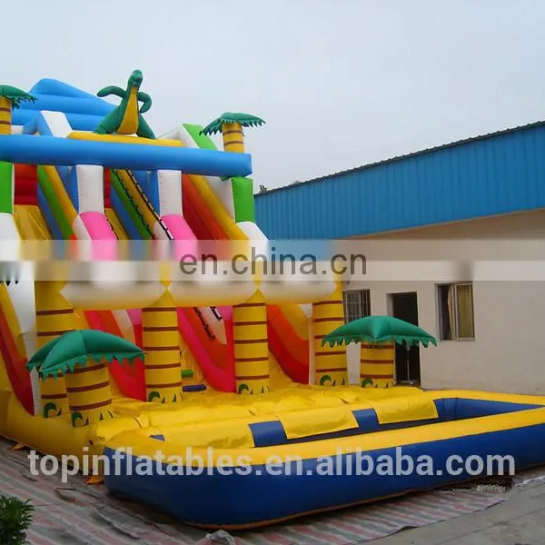 New Design Giant for Sale Inflatable Dry Slide China Supplier photo-4