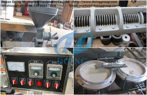 Small Rapeseed Oil Press Machine Price photo-3