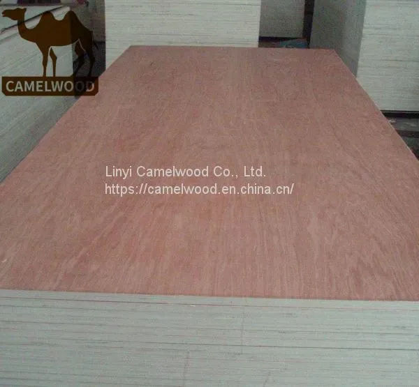 High Quality Commercial Plywood Melamine Plywood for Decoration photo-3