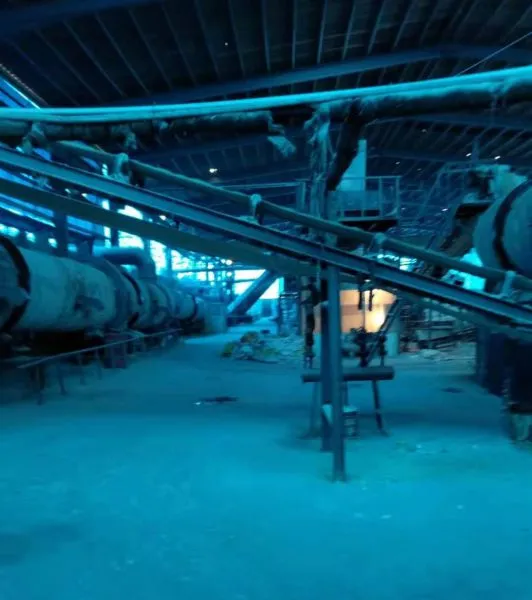 Hebei Chunchao Biological Technology Co.,ltd company overview - view 2