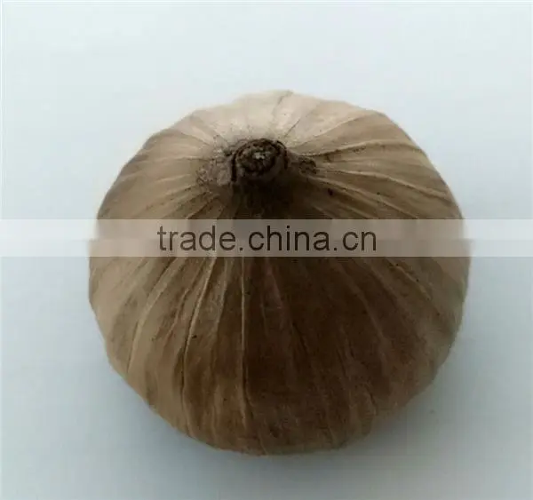Natural Black Garlic photo-5