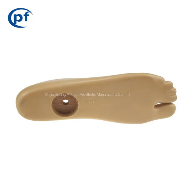 Medical Prosthetic Leg Single Axis Foot, Artificial Limbs Feet photo-2