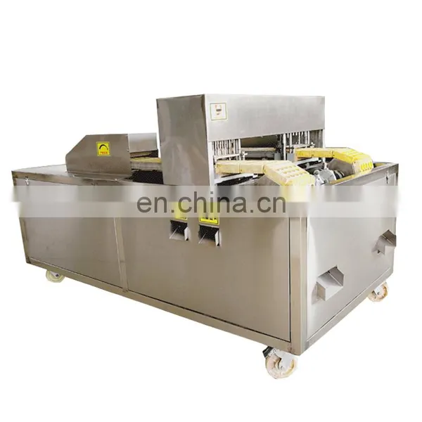Full-automatic Jujube and Dates Fruit Sorter Vegetable Sorting Grading Slicing Machine photo-2