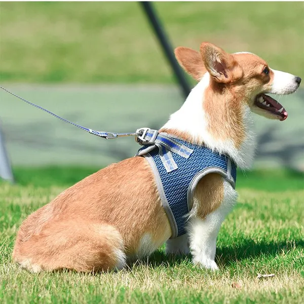 Premium Dog Chest Strap Leash Adjustable Reflective Pet Harness With Padded Handle & No-Pull Design photo-2