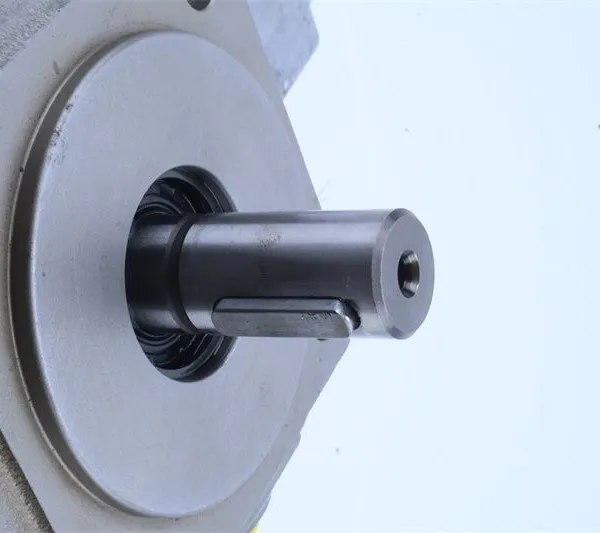 PV7 Series Hydraulic Vane Pump PV7 Series PV7-1X/63-94RE07MD0-08 Pilot Pump PV7-1X-06-10RA01MAO-10 photo-4