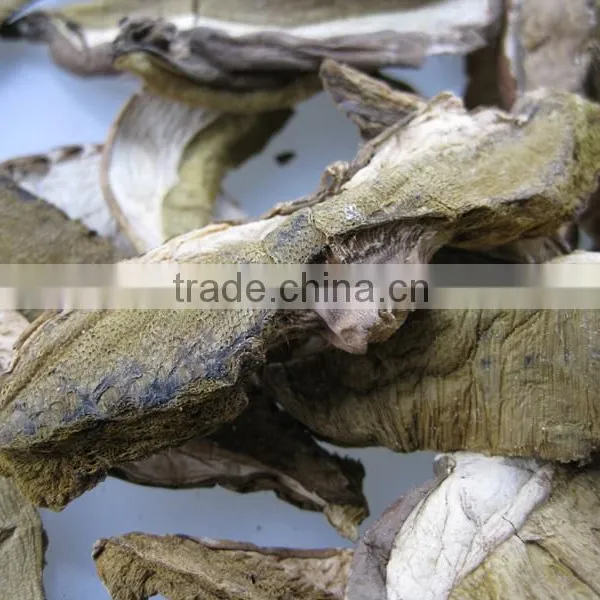 Porcini Mushroom Dried Boletus From Yunnan photo-3