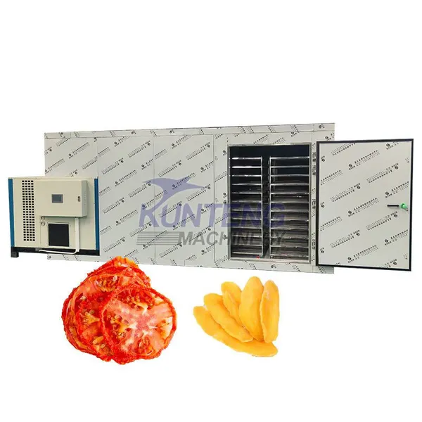 Manual de secador de frutas e legumes, máquina para secar tomate, máquina para processar frutas secas de manga, Projeto EPC de planta