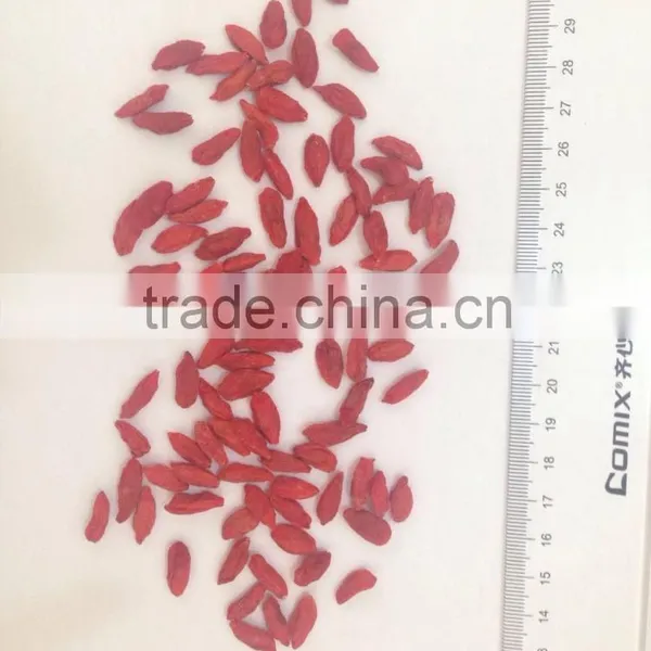 Chinese Ningxia Goji Berry photo-5