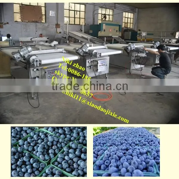 blueberries sorting machine,fruit sorting/grading machine