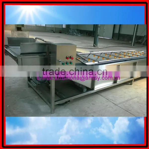 Commercial Red Date Washing Machine|Bubble Type Mushroom Washing Machine photo-5