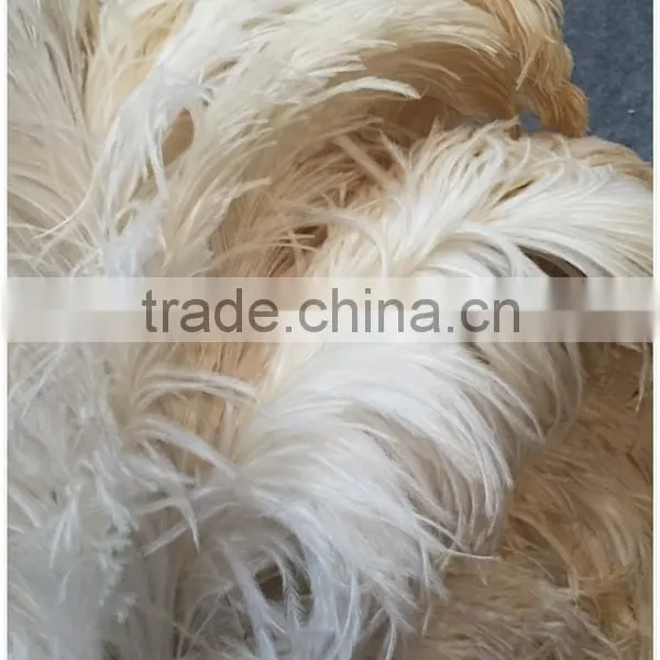 Single Color Feather Duster photo-3