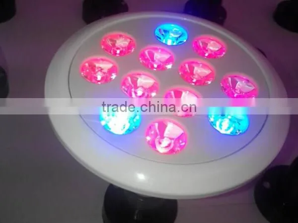 2016 Best Selling Grow Light Leds12W PAR LED Grow Light Full Spectrum COB LED2016 Best Selling Grow Light Leds12W PAR LED Grow l photo-5