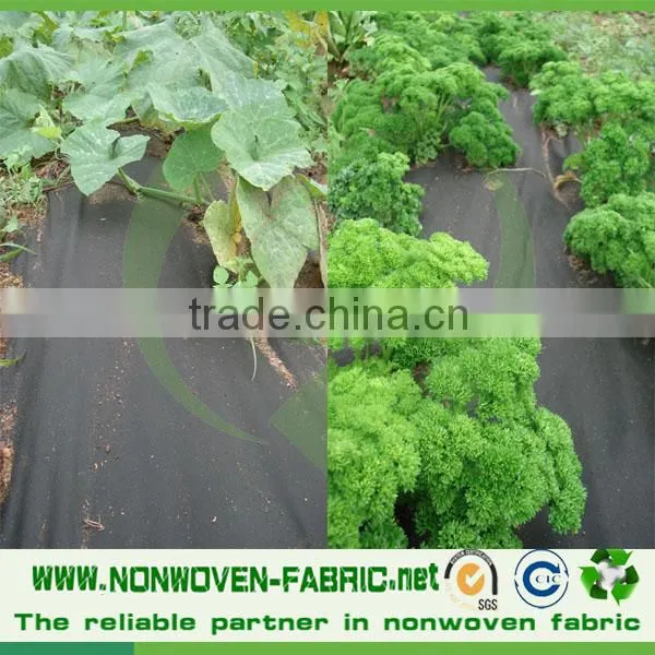 Agriculture Non-woven Fabric Weed Control Spunbonded Polypropylene Nonwoven Fabric Price per kg photo-4