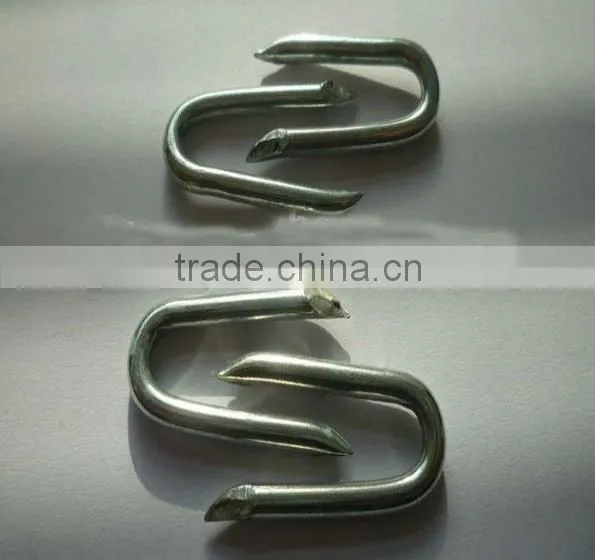Hot-dipped Galvanized Fence Staples / U-Nails/ U Type Nails photo-2