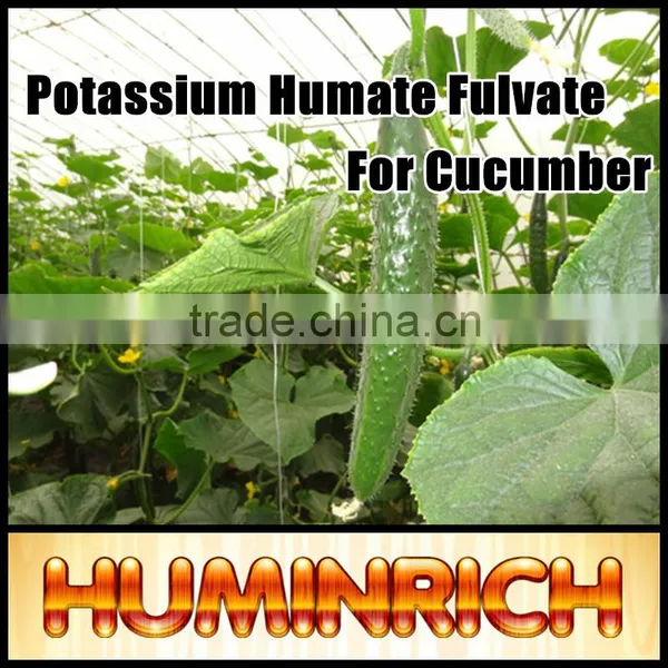 FAQ 2--Potassium Humate Fulvic Acid Fertilizer For Cucumber photo-4