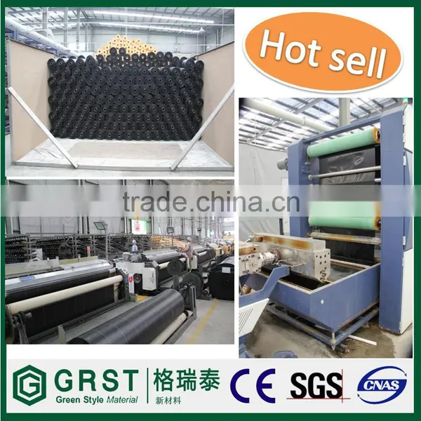 China Black Green PP Woven Weed Barrier,plastic Ground Cover,weed Mat photo-2