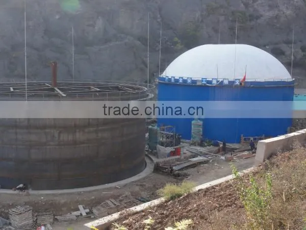 China PUXIN Soft Dome Biogas Digester for Hog Manure Treatment photo-4