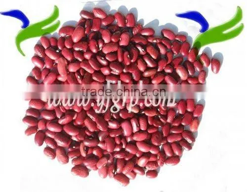 Peanut Price of Red Skin Peanut Kernel With Peanuts 1kg Price photo-3