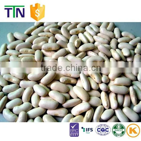 TTN Wholesale Haricot Bean and White Kidney Beans Price photo-2