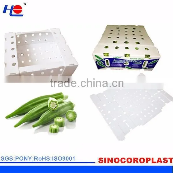 Plastic Collapsible Box photo-5
