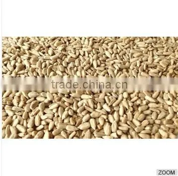 High Quality Hulled Sunflower Kernels Seeds, Bakery Grade