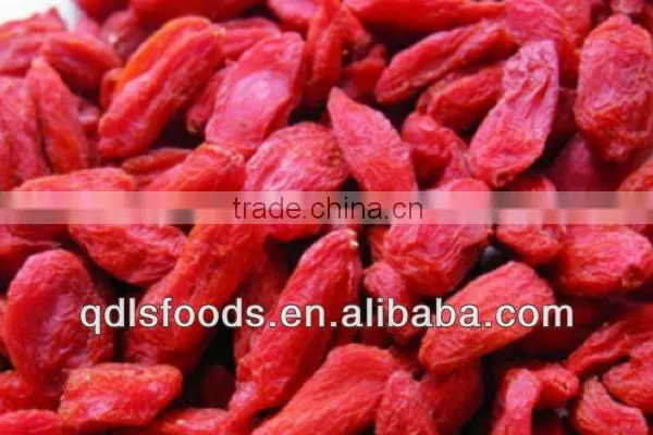 Organic Goji Berry