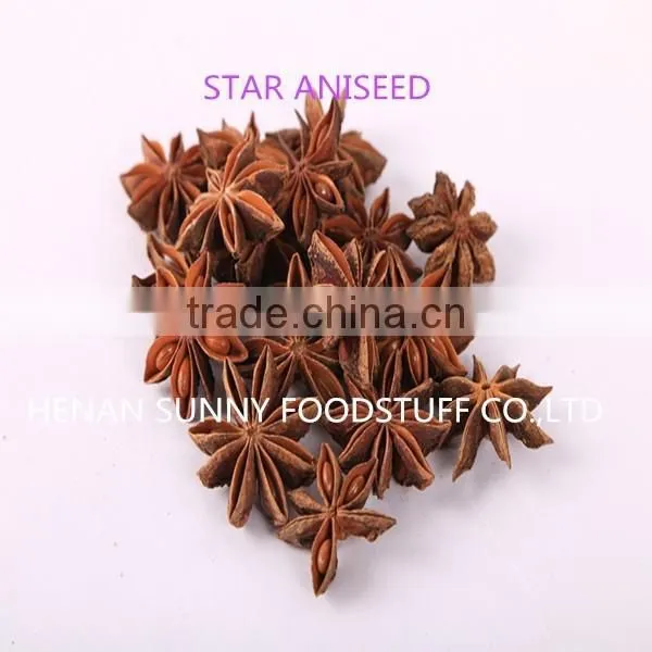 Dehydrated Star Aniseed photo-2