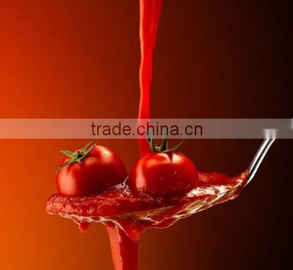 Best Quality Verticaltype High Speed Small Bag Packing Machine for Ketchup photo-6