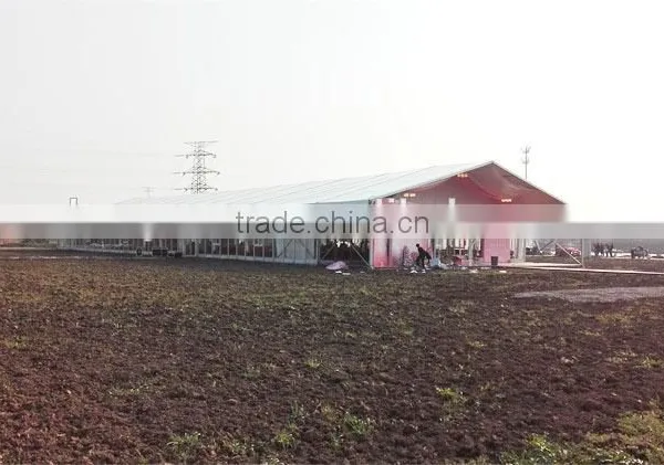 Chinese Golden Supplier of Large Tent for Storage Warehouse photo-2